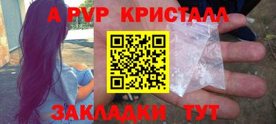 индика Гай