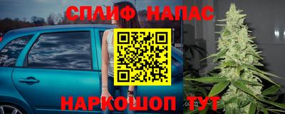mdma Гатчина