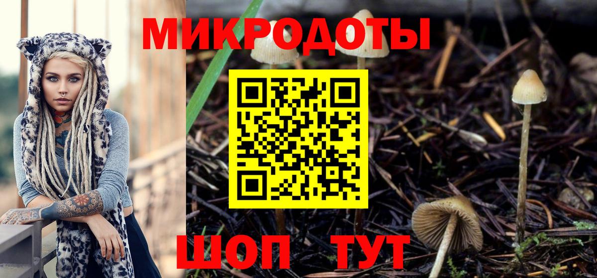 Псилоцибиновые грибы мицелий Белая Калитва