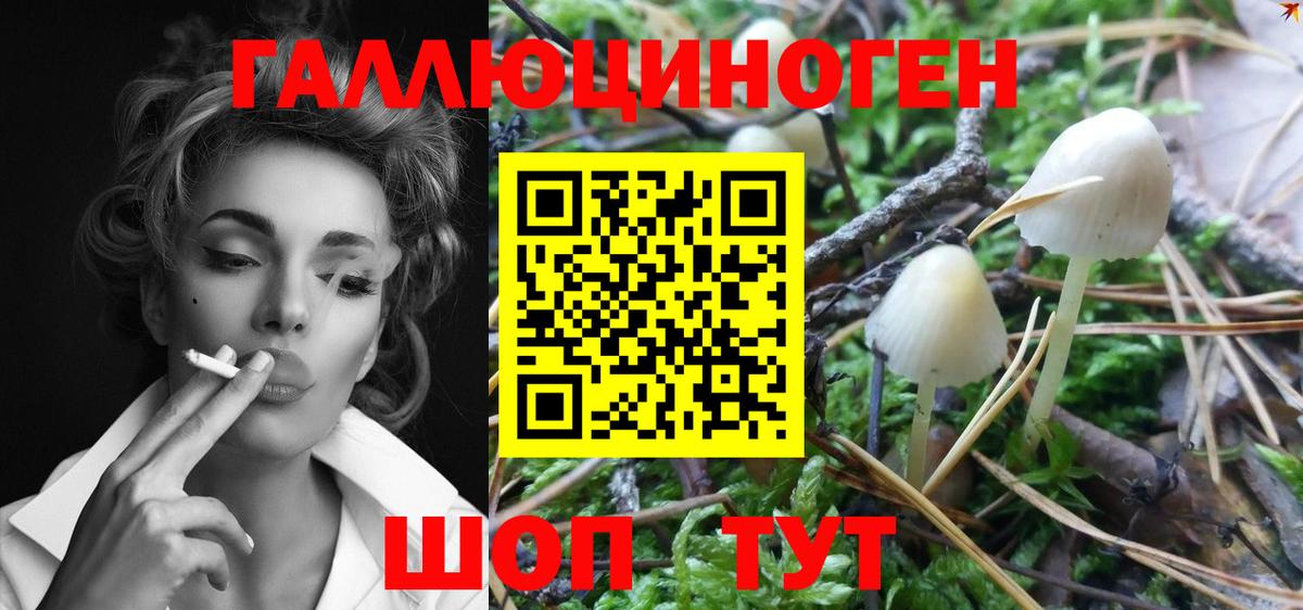 Псилоцибиновые грибы Psilocybine cubensis  Вход с VPN  Белая Калитва 